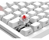 SMX Kishu Jelly Switch Lumos white SMXG048 - 1417236 - zdjęcie 11